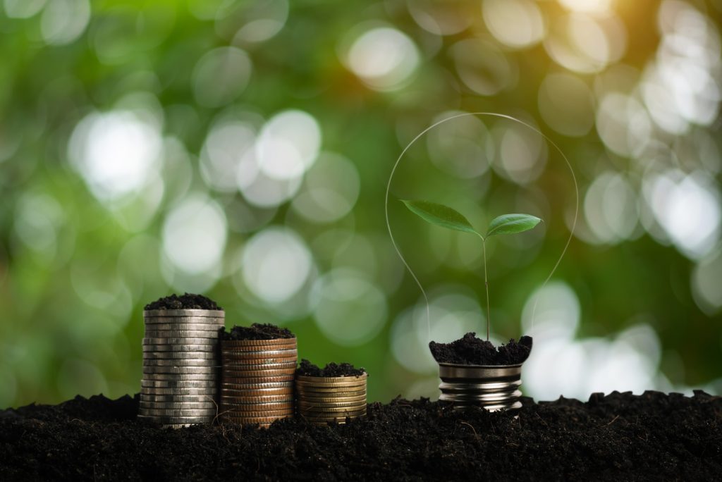 Saving, accounting and financial concept.